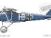 Pfalz D.IIIa 8170/17, Hans Bohning, Jasta 79b, June 1918 (17 victories)